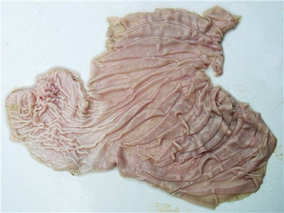 Превью Желудок дикого кабана