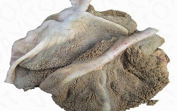 Фото Желудок марала (не очищенный, резанный)