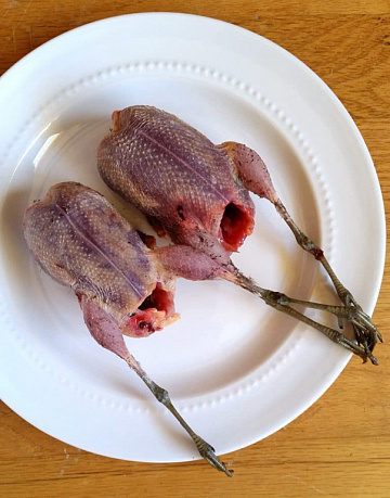 Фото Дупель