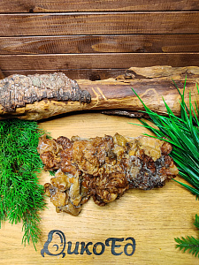 Превью Строчки замороженные