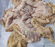 Желудок марала очищенный(резанный)