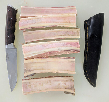 Фото Мозговая косточка лося