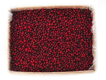 Фото Брусника дикая замороженная (мешок 30кг)