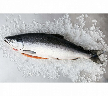 Фото Нерка штучной заморозки потрошеная с головой