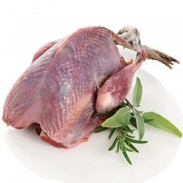 Фото Грудка тетерева